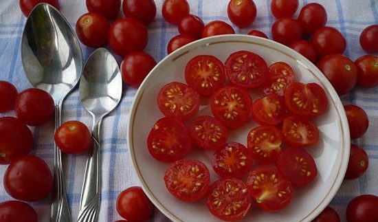 Tomates Pinocho en el alféizar de la ventana: recomendaciones para el cultivo
