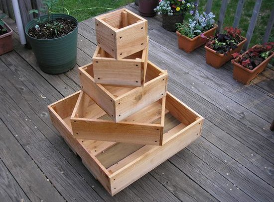 Una variedad de cajas para plantar fresas