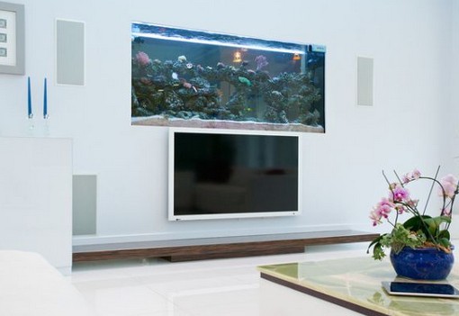 TV en la pared de la sala de estar: ideas de decoración