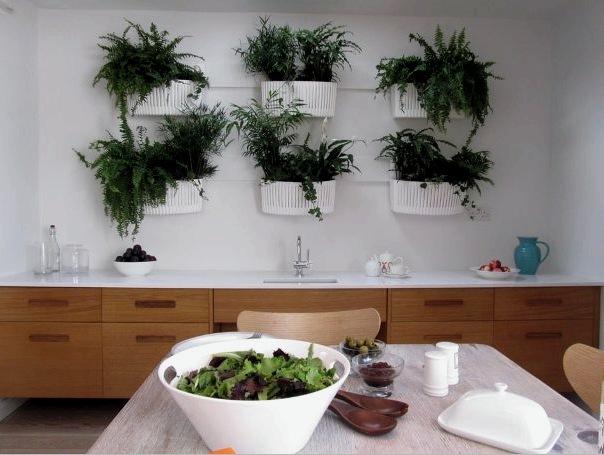 diseño biológico en el interior de la cocina