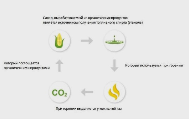 El proceso de producción de biocombustibles