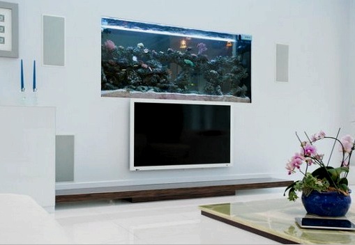 TV y un acuario