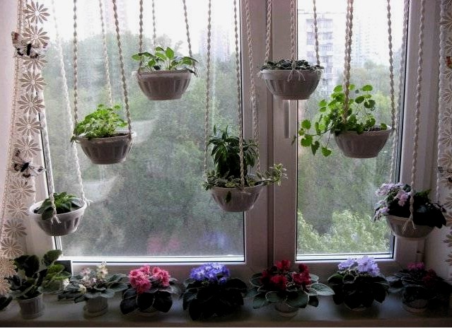 convertir los alféizares de las ventanas en un espacio verde