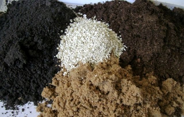 Suelo para plántulas: nosotros mismos preparamos una mezcla de suelo de alta calidad.