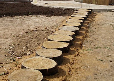Senderos de jardín de madera.  ¿Cómo hacer un camino a partir de cortes de madera con tus propias manos?