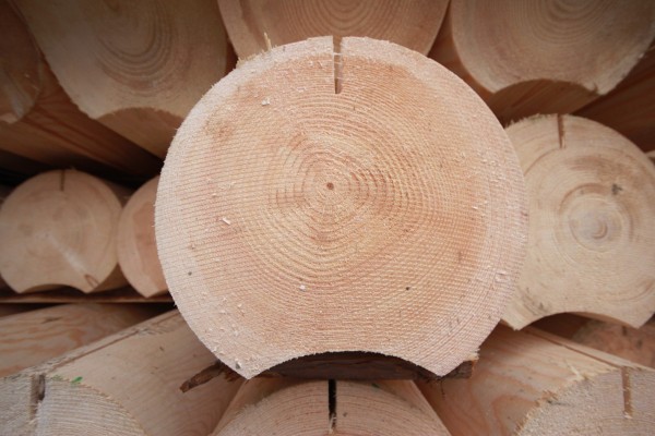 Casas de troncos redondeados: características de construcción, pros y contras