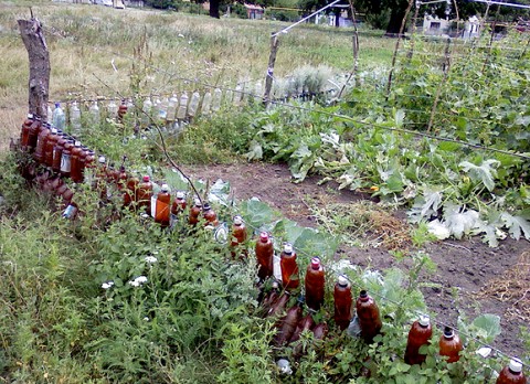 ¿Cómo construir una cerca con botellas de plástico para una residencia de verano?