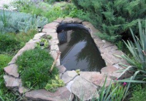 Cómo hacer un mini estanque en el campo a partir de un baño viejo con tus propias manos.