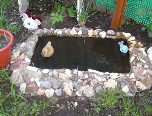 Cómo hacer un mini estanque en el campo a partir de un baño viejo con tus propias manos.