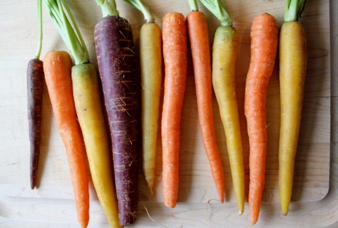 ¿Cuándo plantar (sembrar) zanahorias?  Correcta plantación y crecimiento.