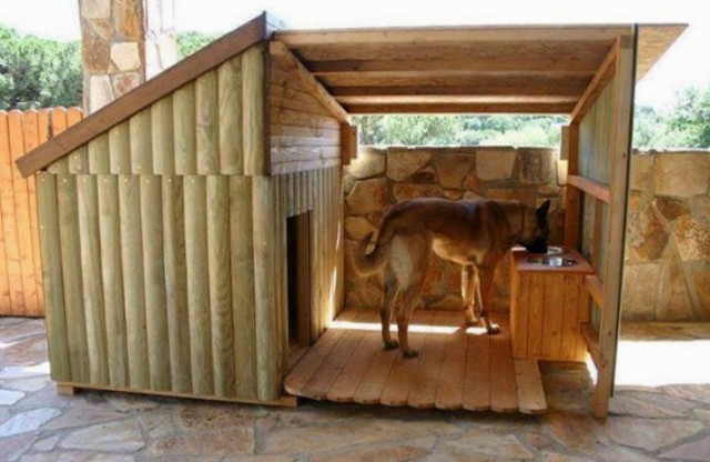 Cabina de perro pastor: ejemplos, tamaños óptimos, hágalo usted mismo