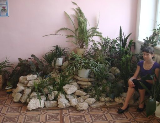 Tobogán alpino en el apartamento: ¿es posible crear un jardín de rocas en casa?