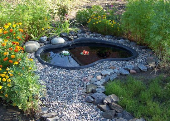 Diseño de bricolaje y disposición de un estanque en el país: opciones y fotos.