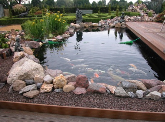 Diseño de bricolaje y disposición de un estanque en el país: opciones y fotos.
