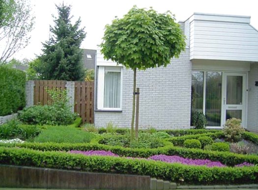 Jardín delantero en frente de la casa - foto de opciones de diseño, decoración de bricolaje