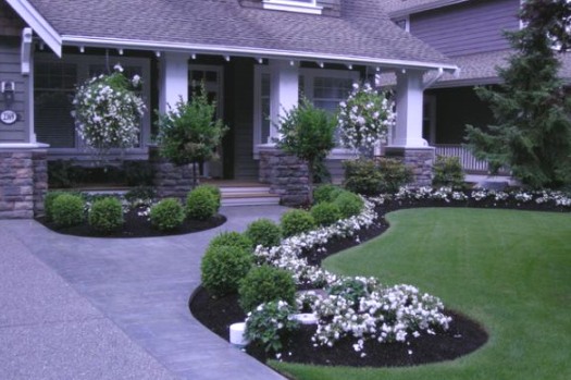 Jardín delantero en frente de la casa - foto de opciones de diseño, decoración de bricolaje
