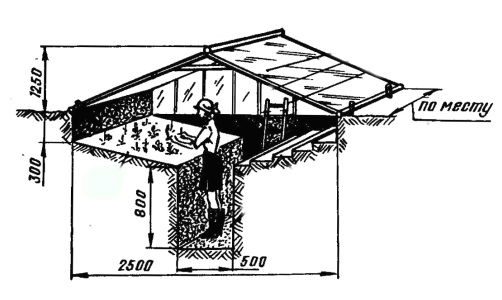 Un invernadero de la casa de campo hecha de policarbonato - tipos de estructuras, cómo lo hace usted mismo?