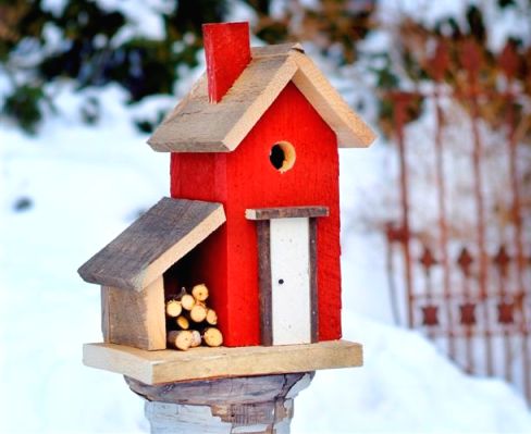 Hágalo usted mismo pajareras (pajareras).  Cómo hacer una casa para pájaros: instrucciones y dibujo.