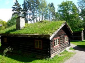 Césped en el techo de la casa: ecologizar el techo en el campo