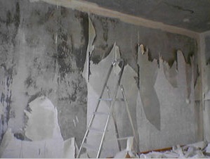 Preparación de paredes para empapelar: características.