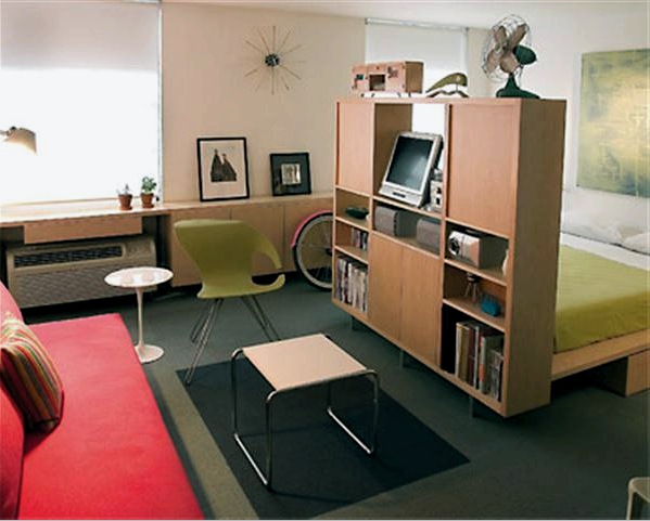 Diseño de dormitorio-sala de estar (42 fotos): zonificación, almacenamiento y ahorro de espacio