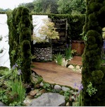 Diseño de jardines en el país (36 fotos): proyecto, creación de césped, estilo de jardín japonés, plantación de flores y uso de piedras.