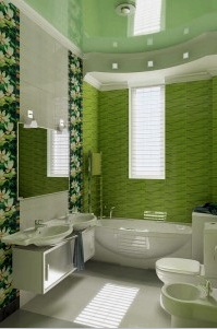 Renovación y diseño del baño (54 fotos): opciones de acabado de bricolaje