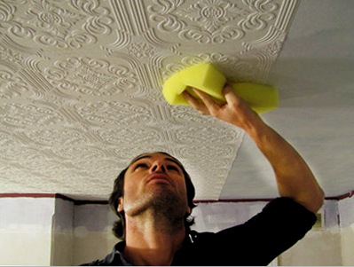 Diseño de techos en el pasillo (30 fotos). Blanqueado, pintura, yeso decorativo, papel pintado y baldosas de PVC