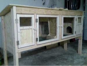 Jaulas para conejos: 2 requisitos previos para el mantenimiento y todas las etapas de instalación.