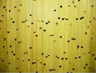 Pegar papel tapiz de bambú: papel tapiz para crear un interior inolvidable (33 fotos). Variedades y características de uso. Preparando las paredes