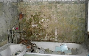 Opciones de renovación del baño (60 fotos): decoración de paredes, colocación de azulejos e instalación de plomería