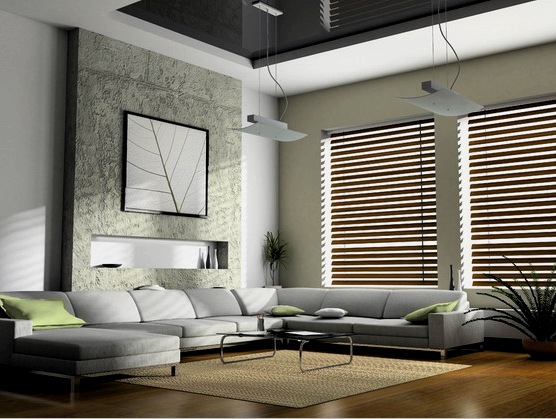 Diseño de sala de estar con dos ventanas (30 fotos): muebles, decoración de estructuras de ventanas, colores y decoración de paredes.