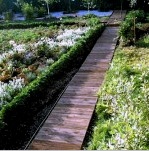 Diseño de caminos de jardín (60 fotos): requisitos funcionales, tipos de cobertura y dispositivo.