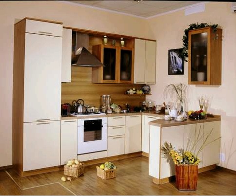 Interior de la cocina de 10 metros cuadrados (36 fotos): decoración de una habitación pequeña y espaciosa.