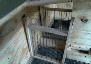 Jaulas para conejos: 2 requisitos previos para el mantenimiento y todas las etapas de instalación.