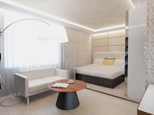 Diseño de sala de estar con dormitorio - ideas de zonificación