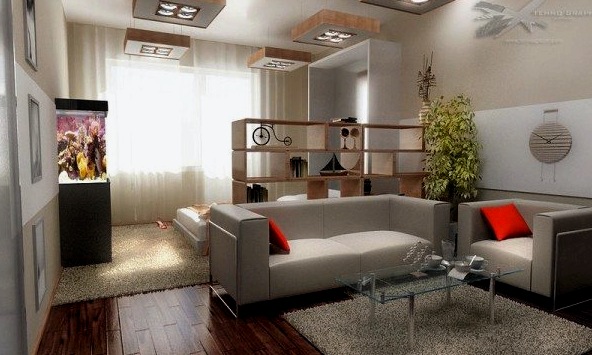 Diseño de sala de estar con dormitorio - ideas de zonificación