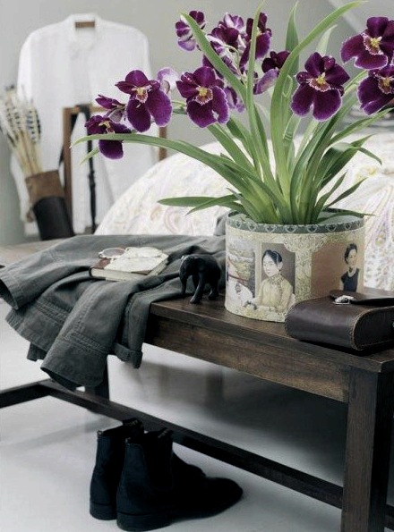 ¿Puedo mantener las orquídeas en el dormitorio: consejos de floristas y diseñadores?