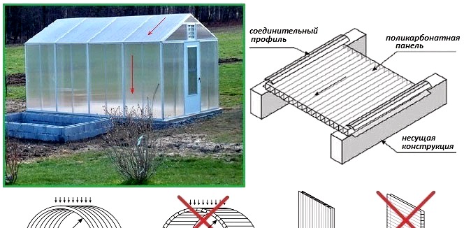 Cómo hacer un invernadero de policarbonato con sus propias manos: dibujos, cálculos y fotos