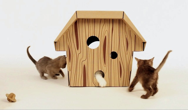 Casa de gato de bricolaje: opciones, dibujos, tamaños, cánones de fabricación