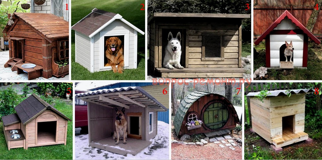 Caseta para perros al aire libre: casa y perrera, verano, invierno, para cría y otros