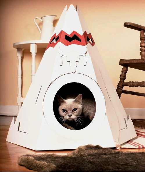 Casa de gato de bricolaje: opciones, dibujos, tamaños, cánones de fabricación