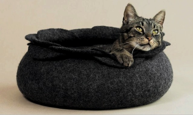 Una cama para un gato y un gato: cómo hacer o coser, con cosas viejas, con materiales de desecho.